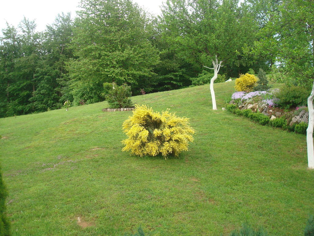 Guest House Ljubica Rastovača Zewnętrze zdjęcie